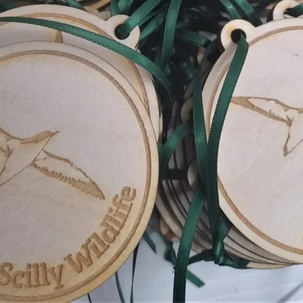 Two wooden medals with a bird on them.