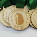 A group of wooden hedgehog class medals with green ribbons.