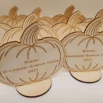 A group of pumpkin awards on a table.